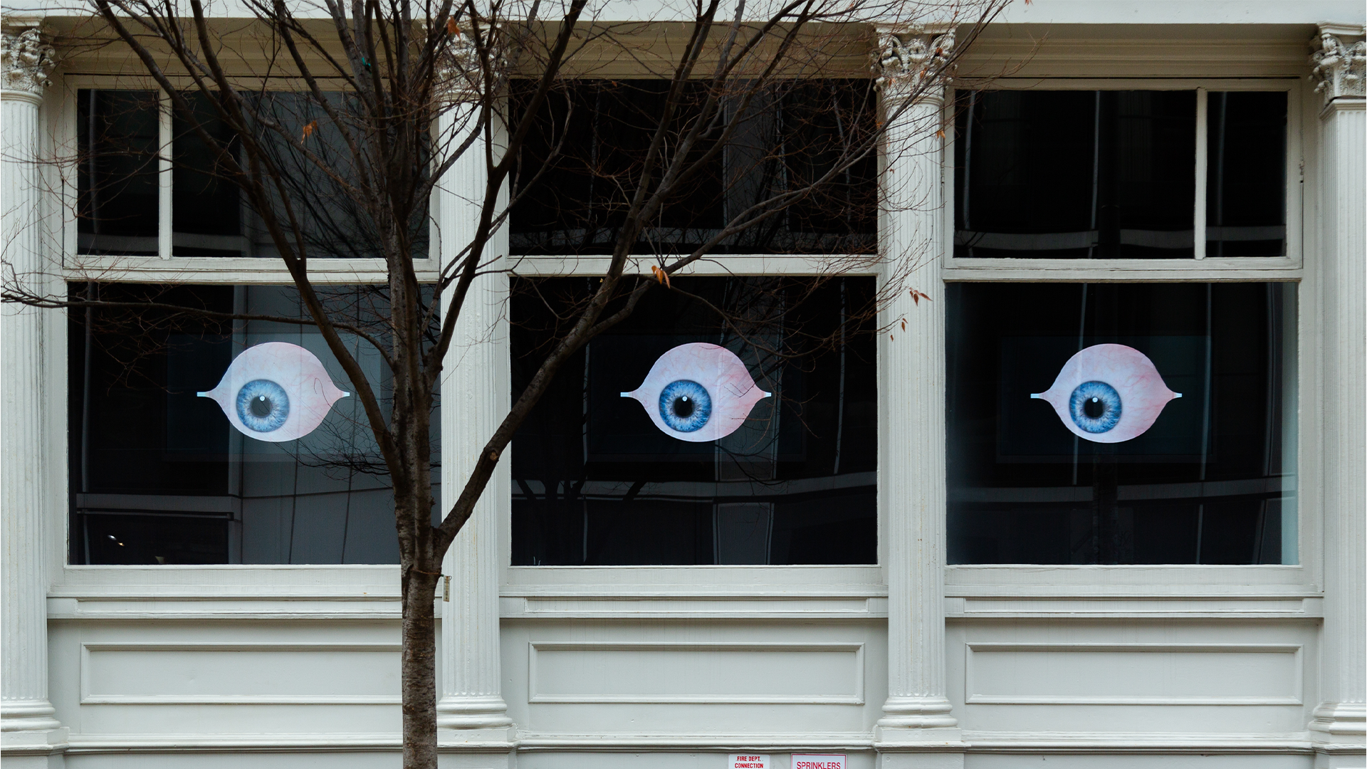 Hortensia Mi Kafchin: Through Different Eyes
